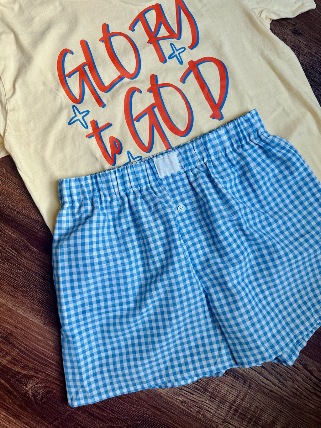 Blue High Waisted Gingham Shorts